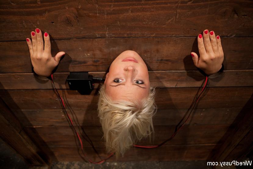 14P Thick blonde is dominated by a couple of lesbians while in bondage