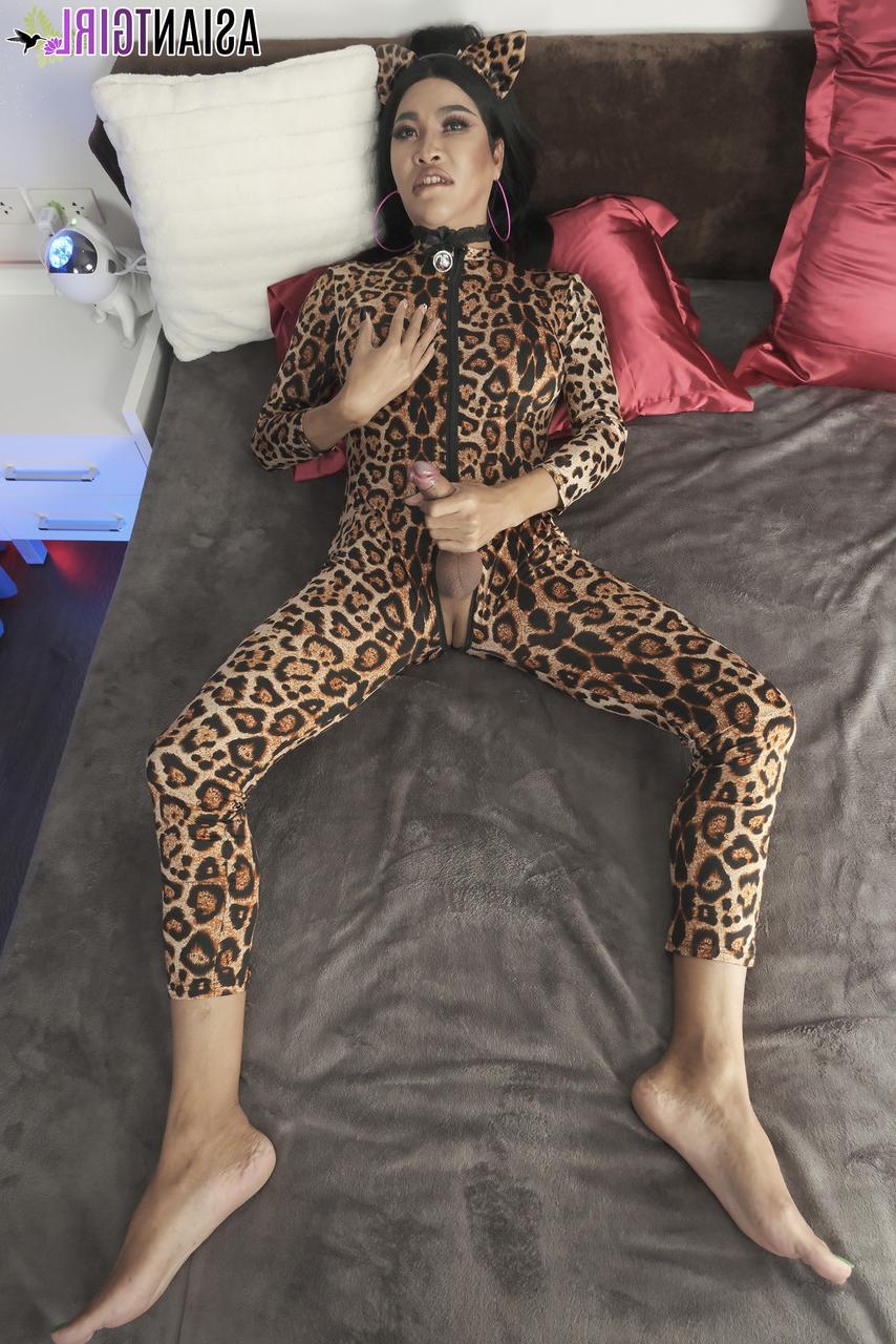 16P Asiatisches TGirl Noeurn