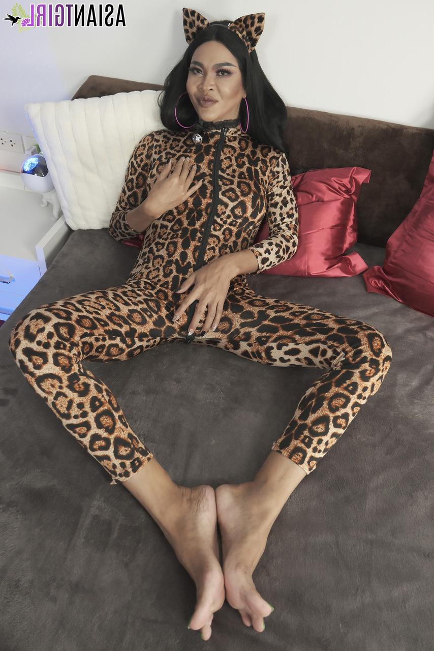 16P Asiatisches TGirl Noeurn