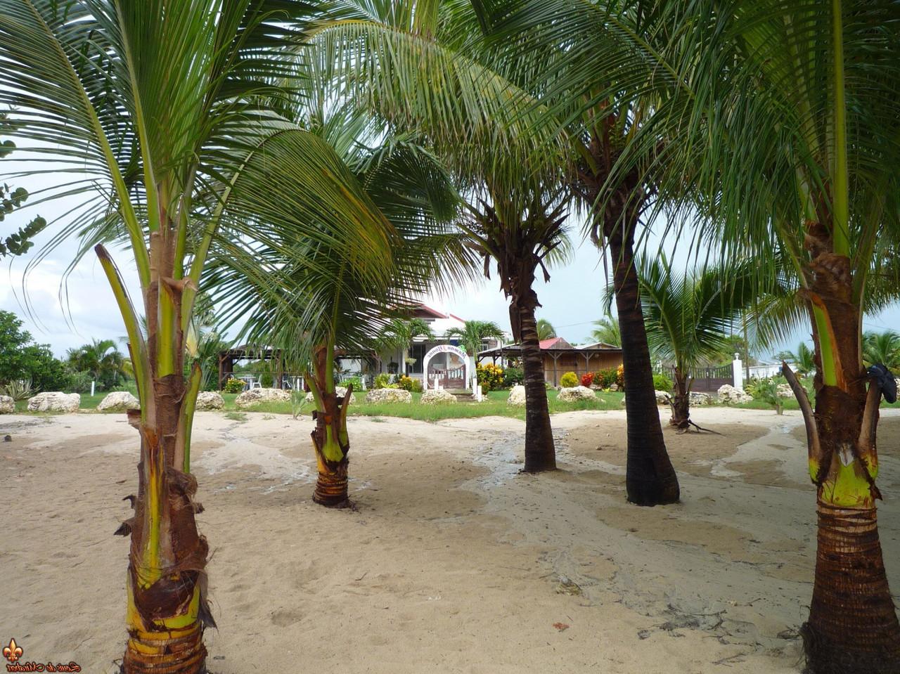 12P Beach babes poses for a topless gig on a deserted tropical beach