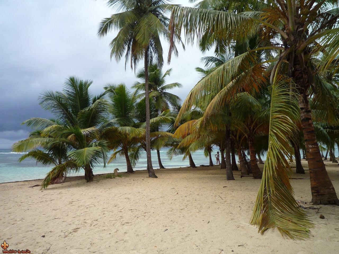 12P Beach babes poses for a topless gig on a deserted tropical beach