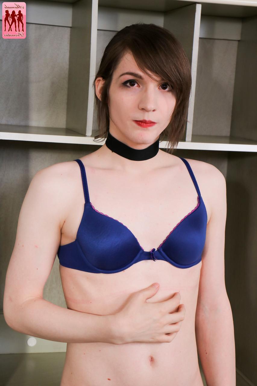 16P TGirl Pornstar Domina Vi, Tai