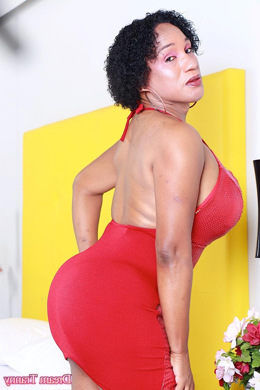 16P Dream Tranny protagonizada por Adrieli Pinheiro Fotos porno