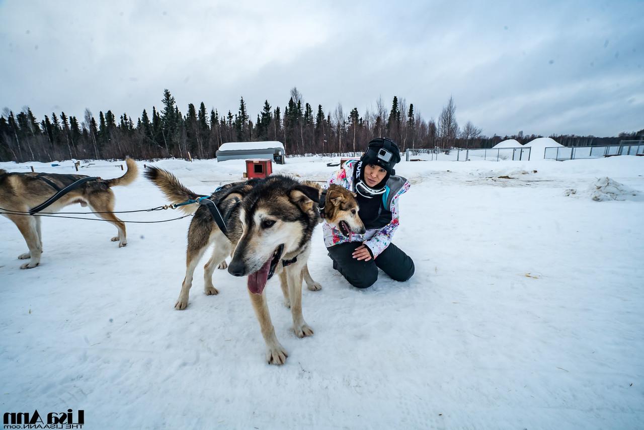 20P Lisa Ann, petite star du porno américaine, profite d'une balade en traîneau à chiens en Alaska.