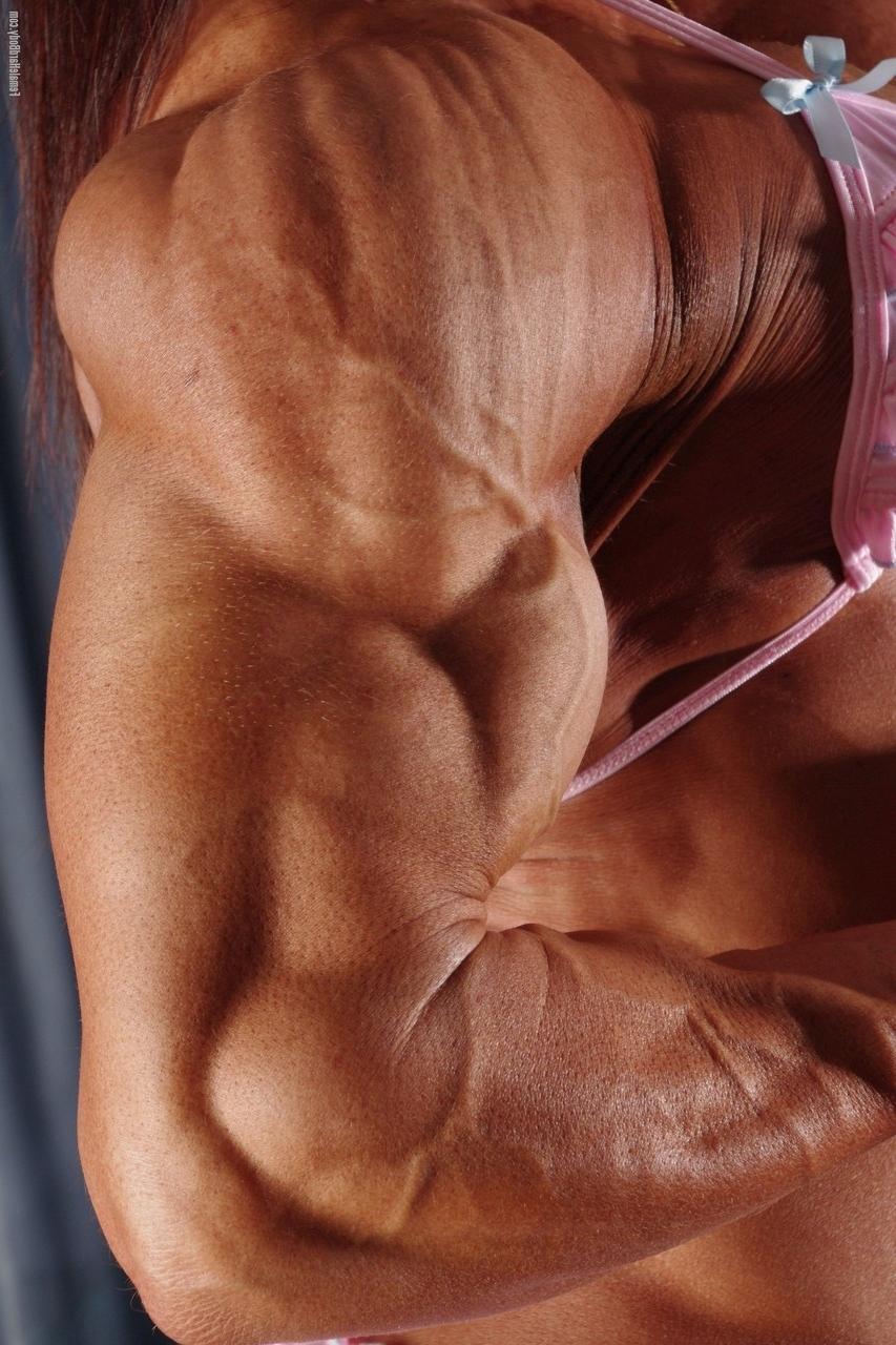 20P Charming bodybuilder Carla Rossi shows off her sexy muscles in her pink bikini