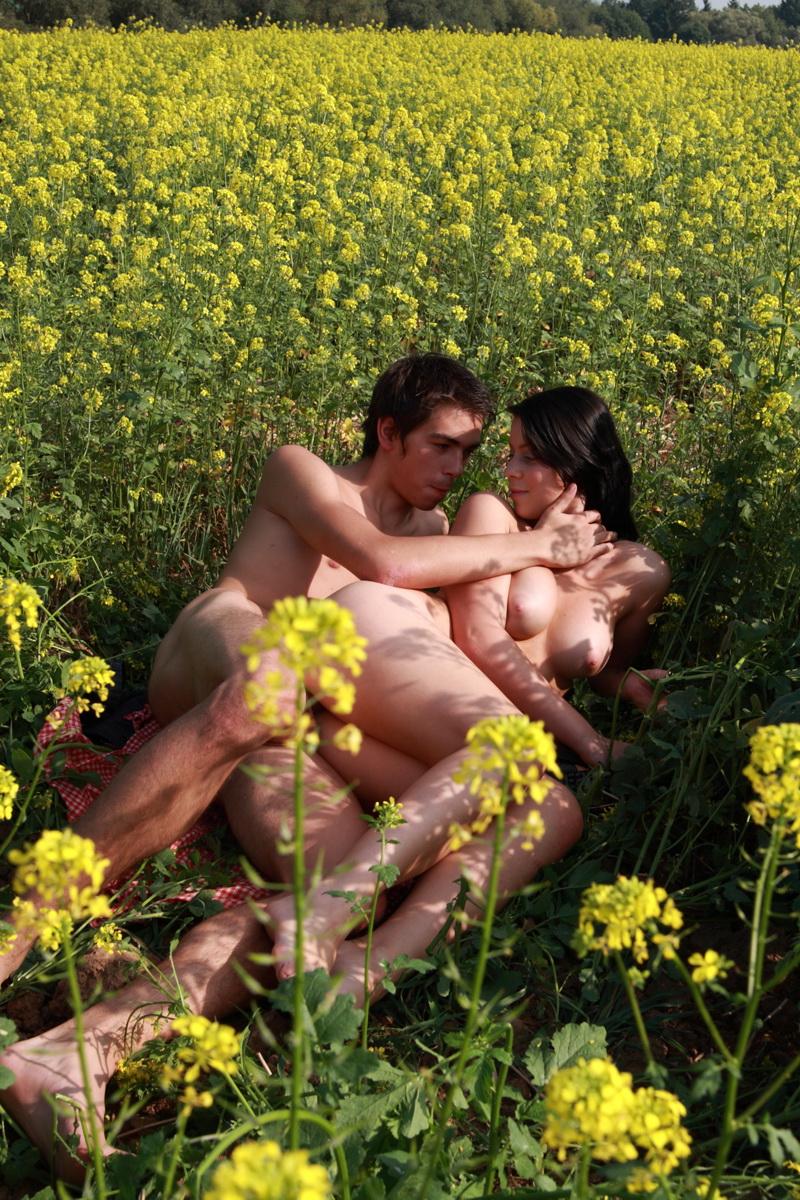 15P Un jeune couple a des rapports sexuels dans un champ de plants de canola