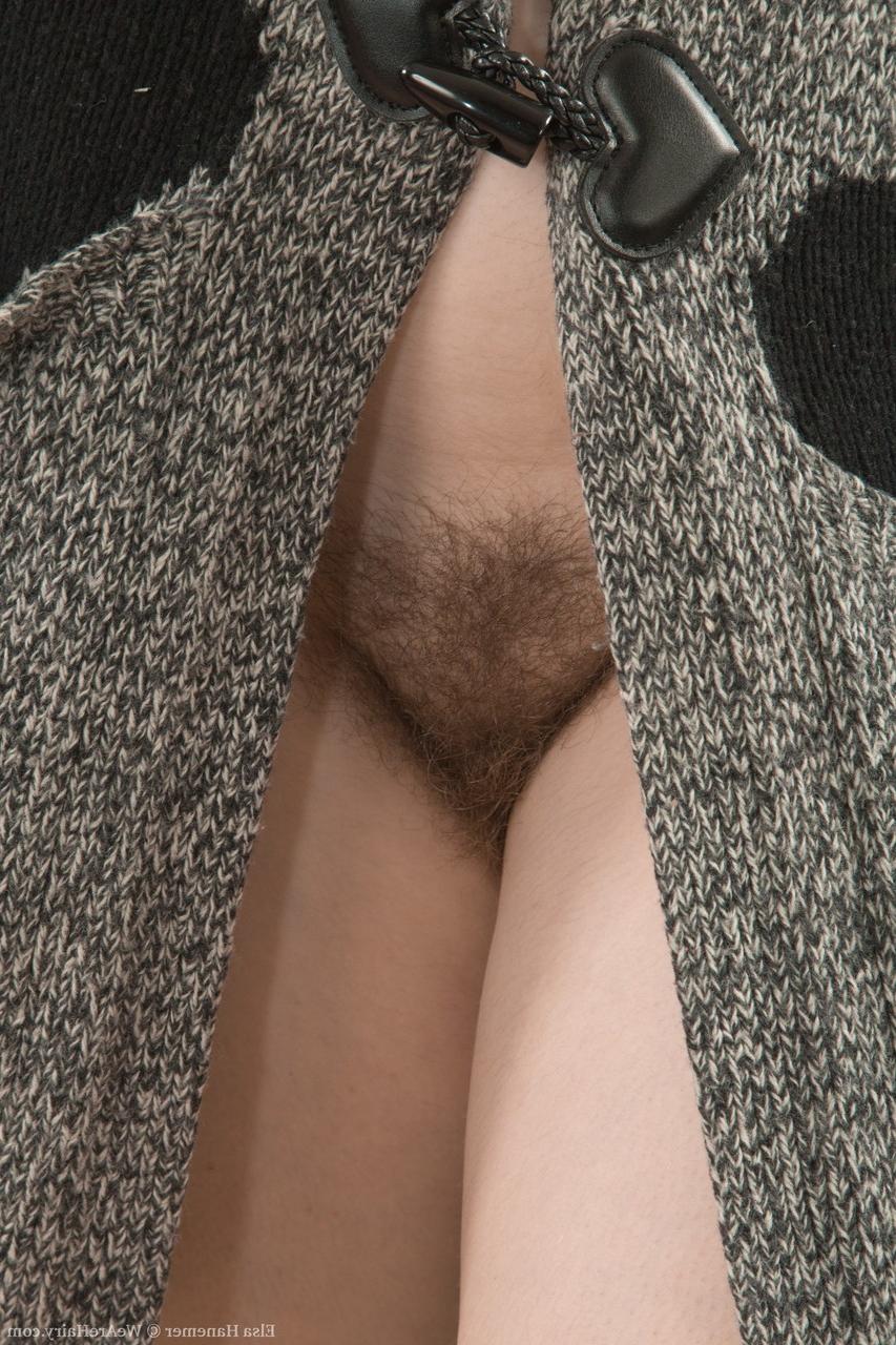17P Smiling brunette Elsa Hanemer takes off her clothes and fingers hairy vagina