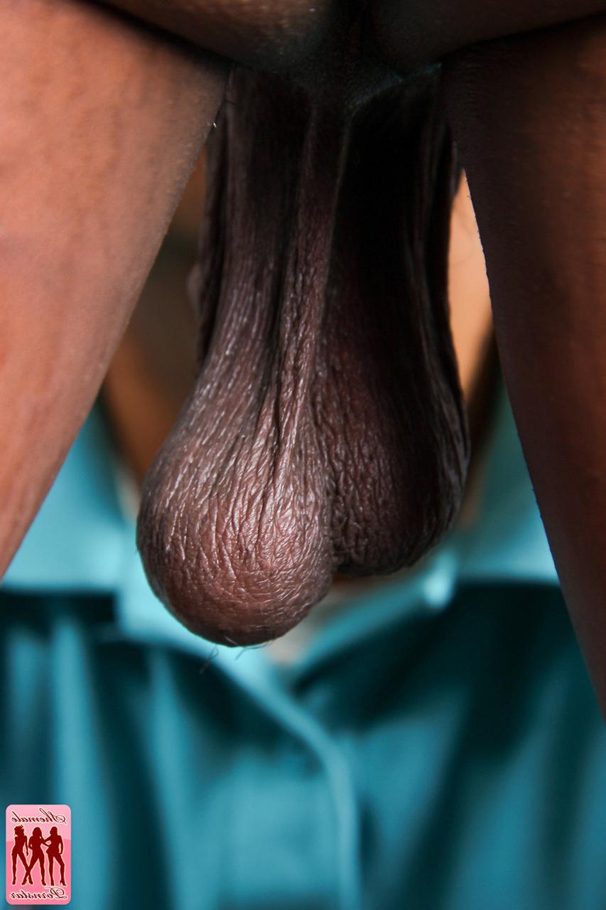 16P TGirl порнозвезда Тияра