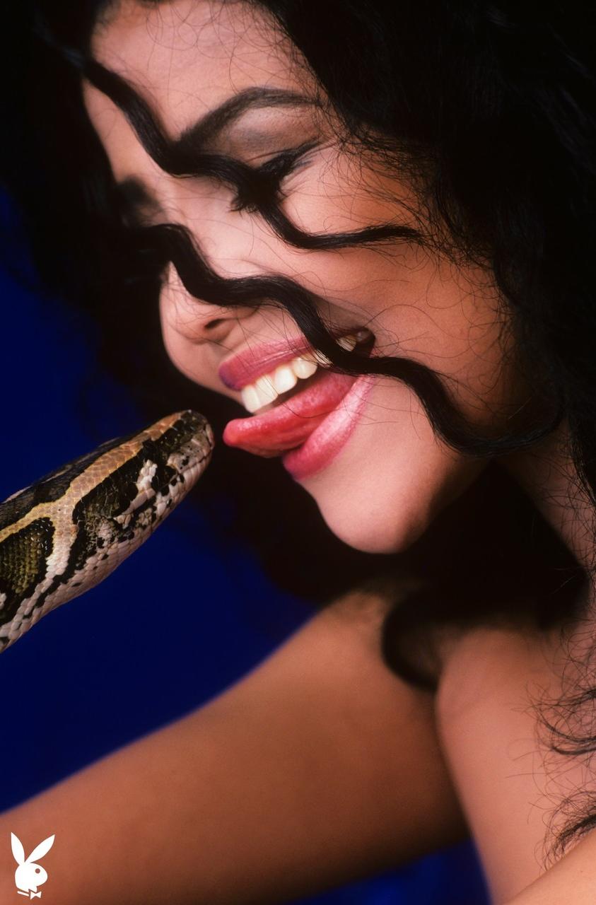 20P La glamorosa la toya jackson posa en su recopilación de lencería caliente