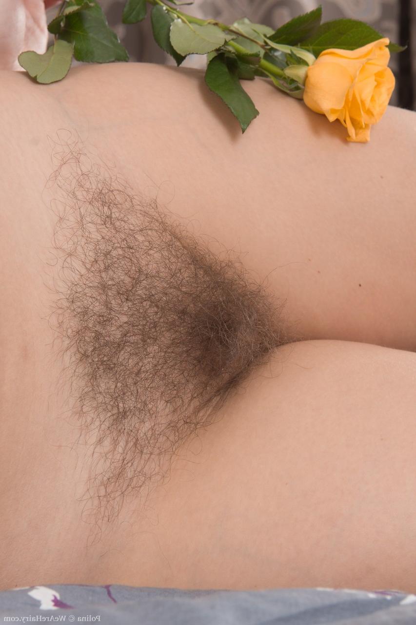 20P Polina, une amatrice mignonne, exhibe ses seins ronds et son manchon poilu en solo.