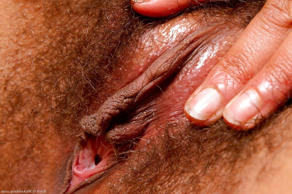 16P La gorda de ébano erica desnudándose y provocando su húmedo coño peludo