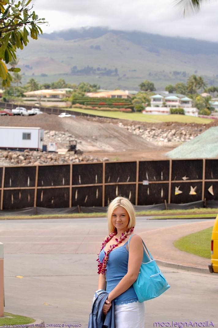 20P A loira brincalhona Alison exibindo seus peitos grandes e uma saia levantada na estrada