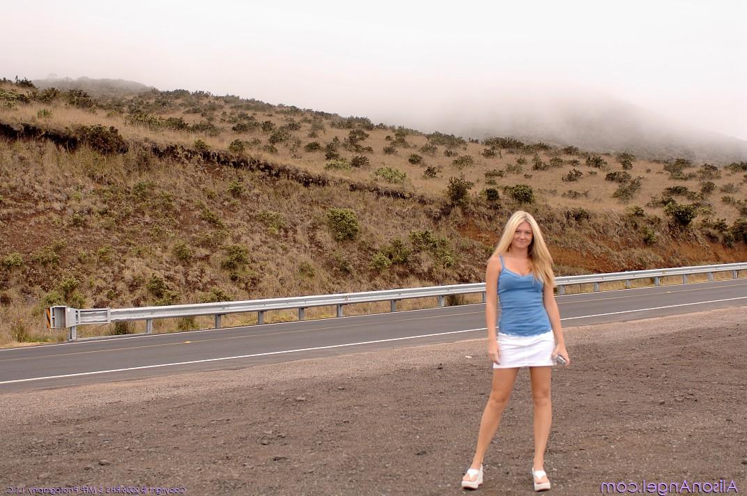 20P A loira brincalhona Alison exibindo seus peitos grandes e uma saia levantada na estrada