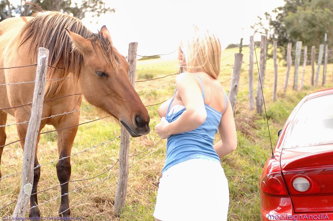 20P A loira brincalhona Alison exibindo seus peitos grandes e uma saia levantada na estrada