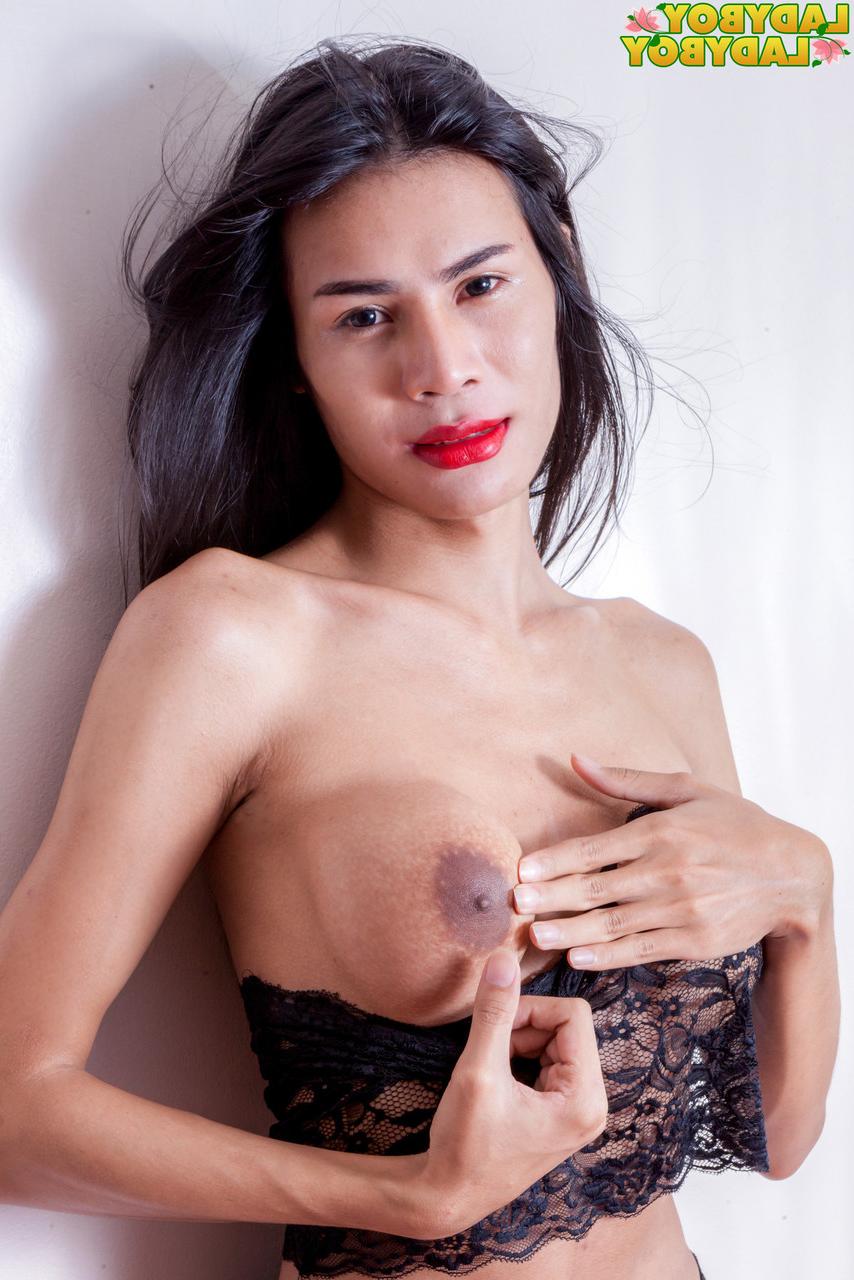 16P アジアの TGirl シダ