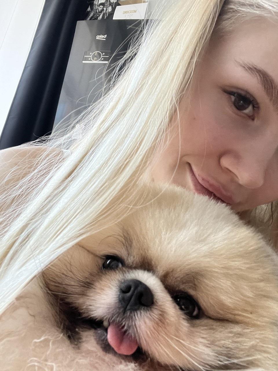 12P OnlyFans Mimosa Evo Carol Fly