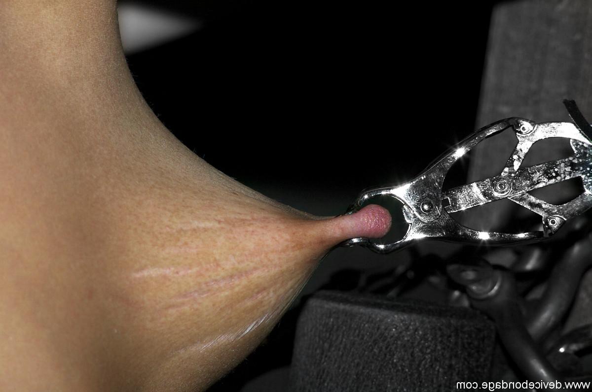 20P Brunette girl with small tits Ariel X gets her nips clamped in metal bondage