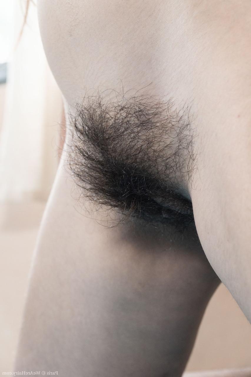 20P Linda morena amadora Paris espalha sua buceta deliciosamente peluda de perto