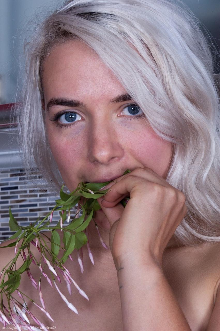 18P Blonde sweetie with tiny tits Cordelia teases with her hairy muff and armpits