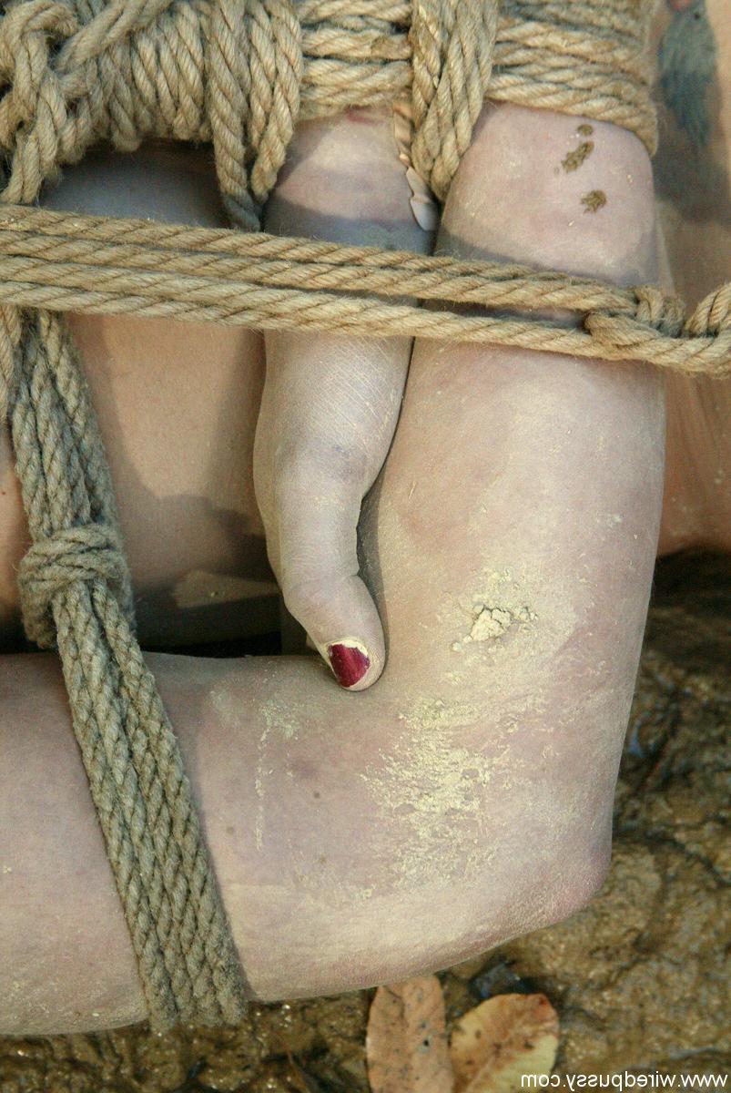 20P Coño cableado Dylan Ryan, Princesa Donna