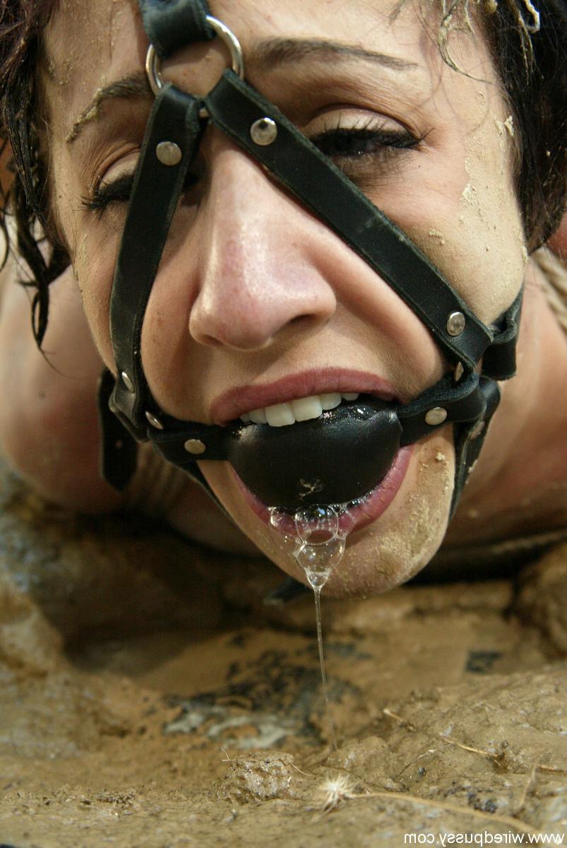 20P Coño cableado Dylan Ryan, Princesa Donna
