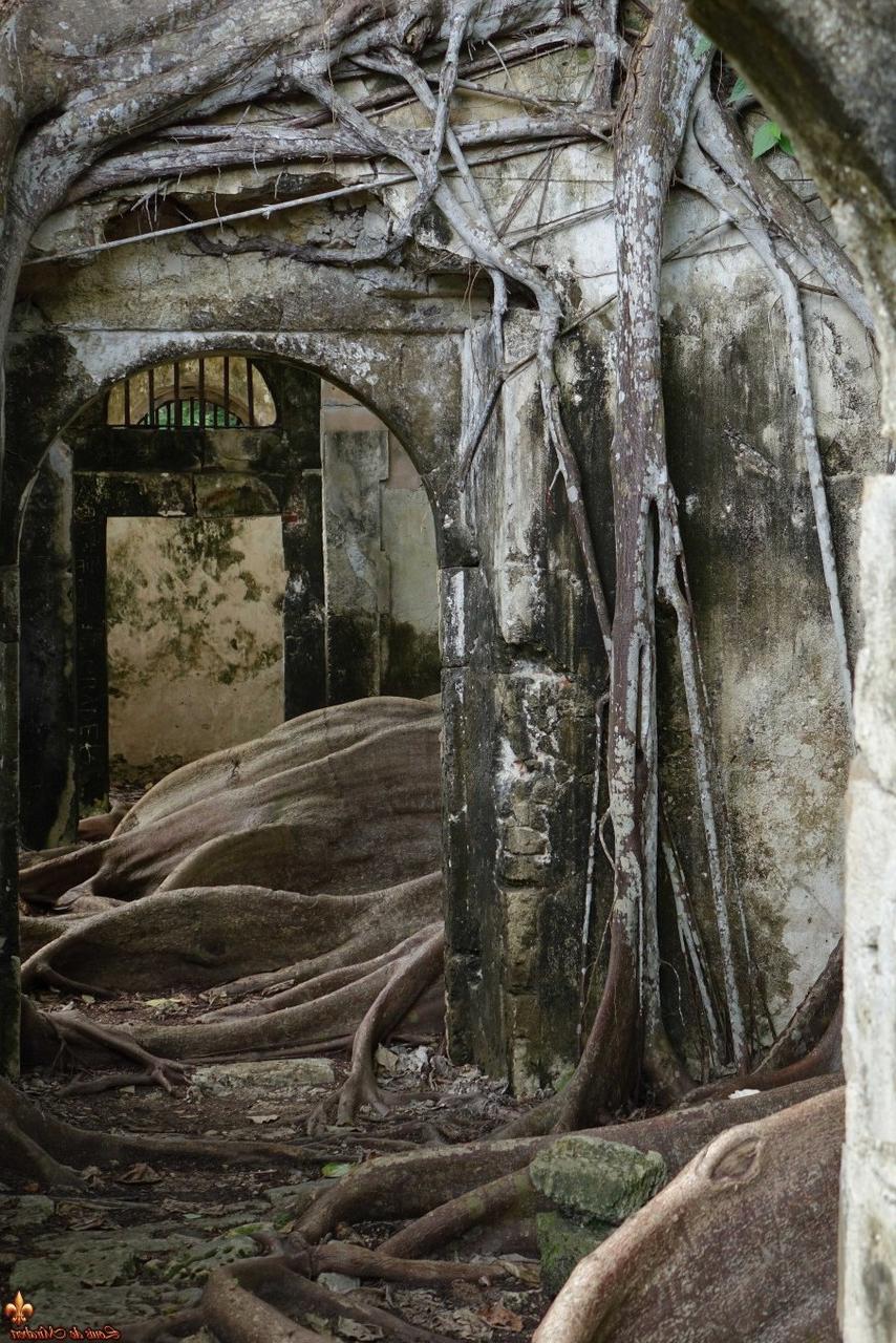 16P Jess, garota solo de ébano, expõe um seio perto de uma antiga prisão em Guadalupe