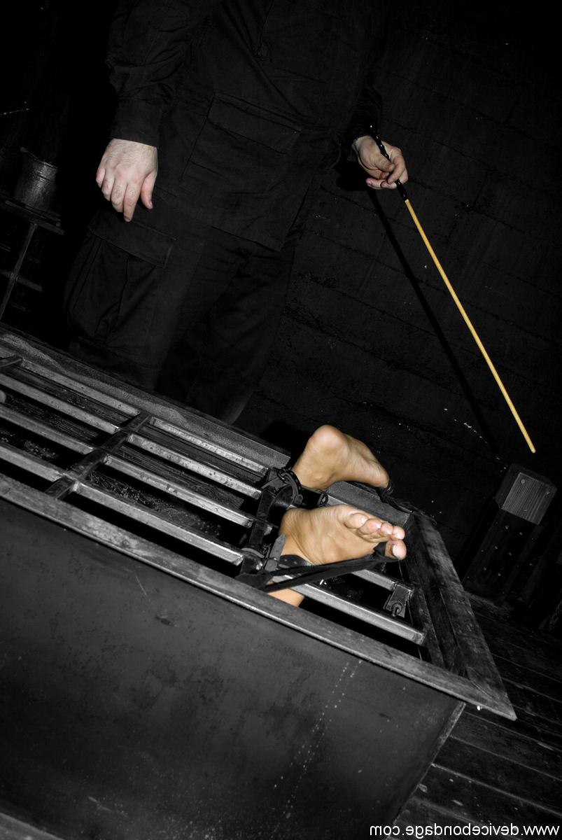 20P Caged and ball-gagged American MILF Trina Michaels gets toyed by her master