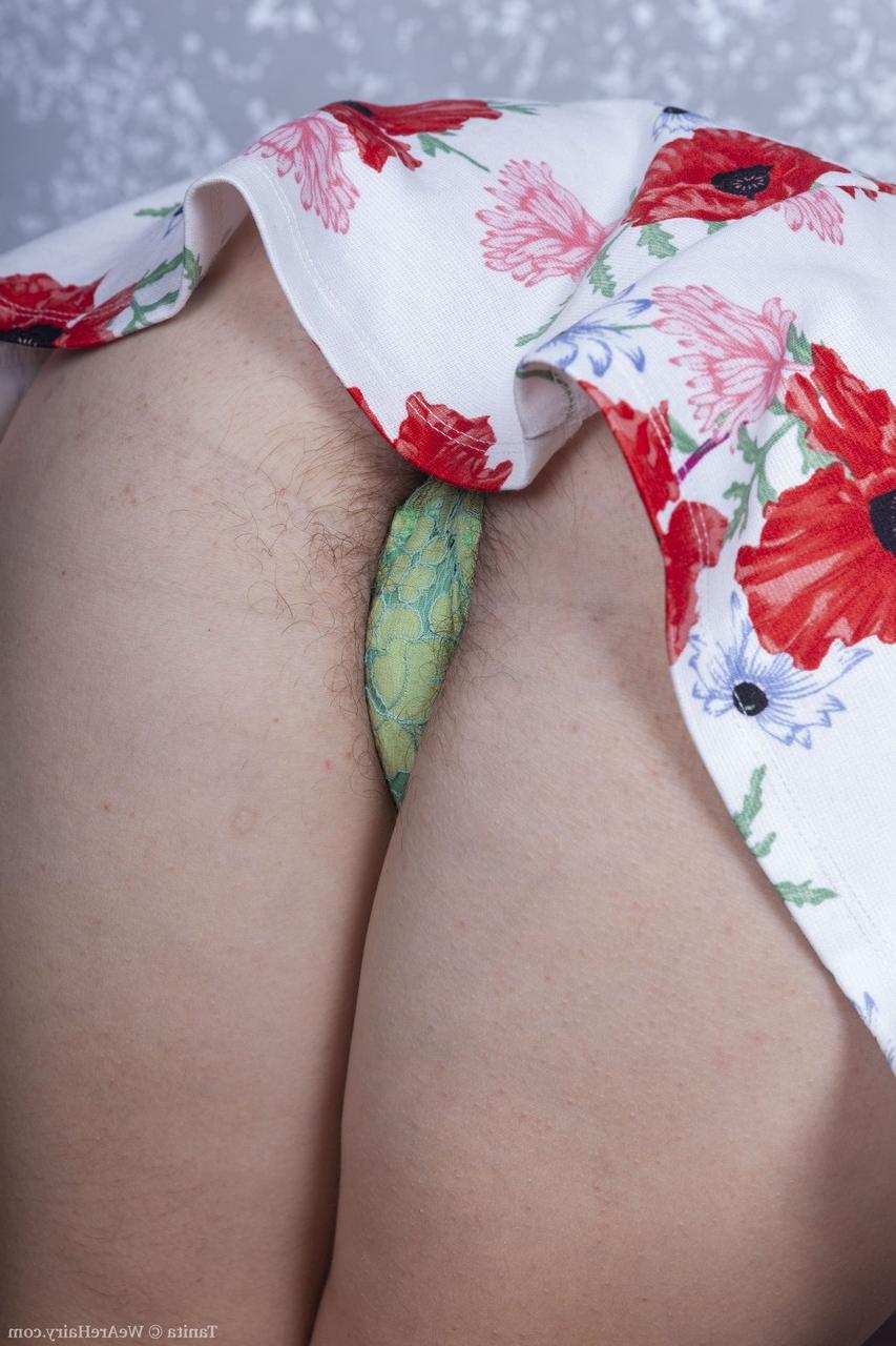 20P A peluda americana Tanita tira a roupa, mostra seus peitos grandes e brinca com os pelos de sua buceta