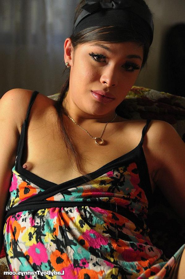 15P Ladyboy Trannys Galeria Quente
