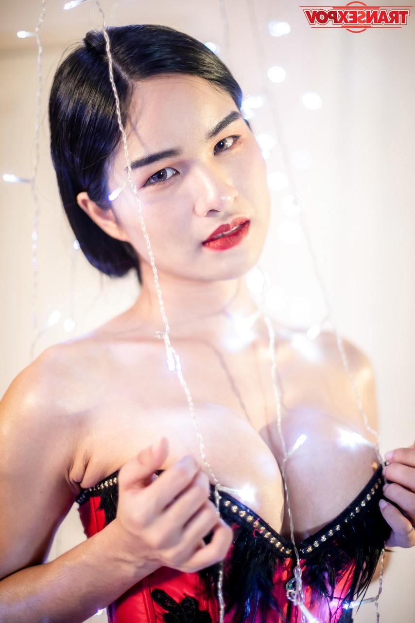 16P Transex POV Frank, Pop