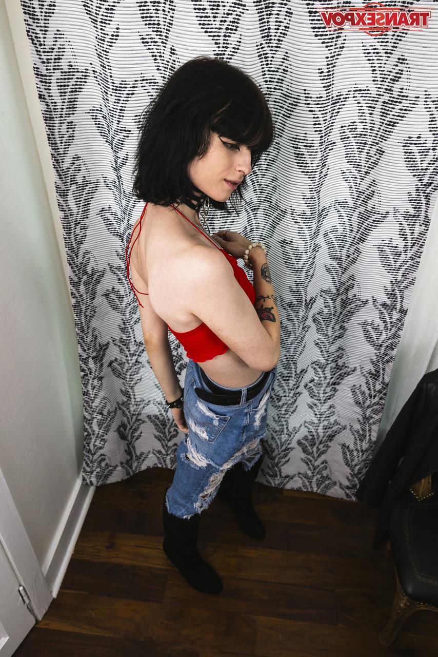 16P Transex POV Despeito