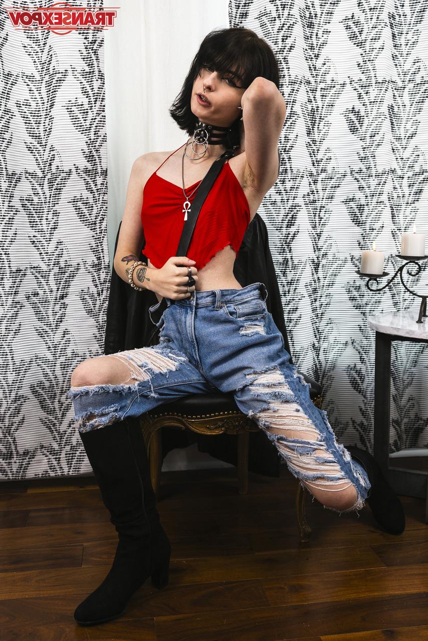 16P Transex POV Despeito