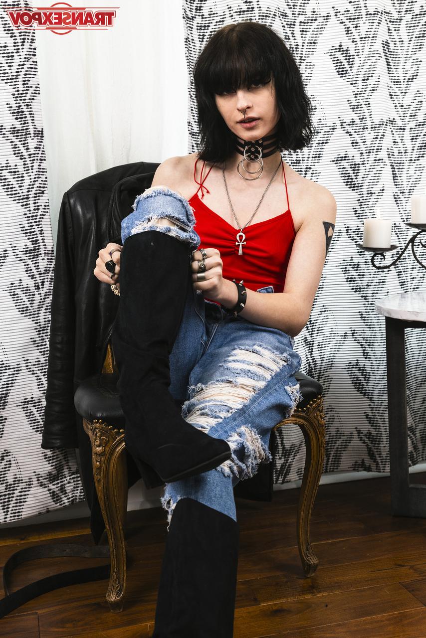 16P Transex POV Despeito