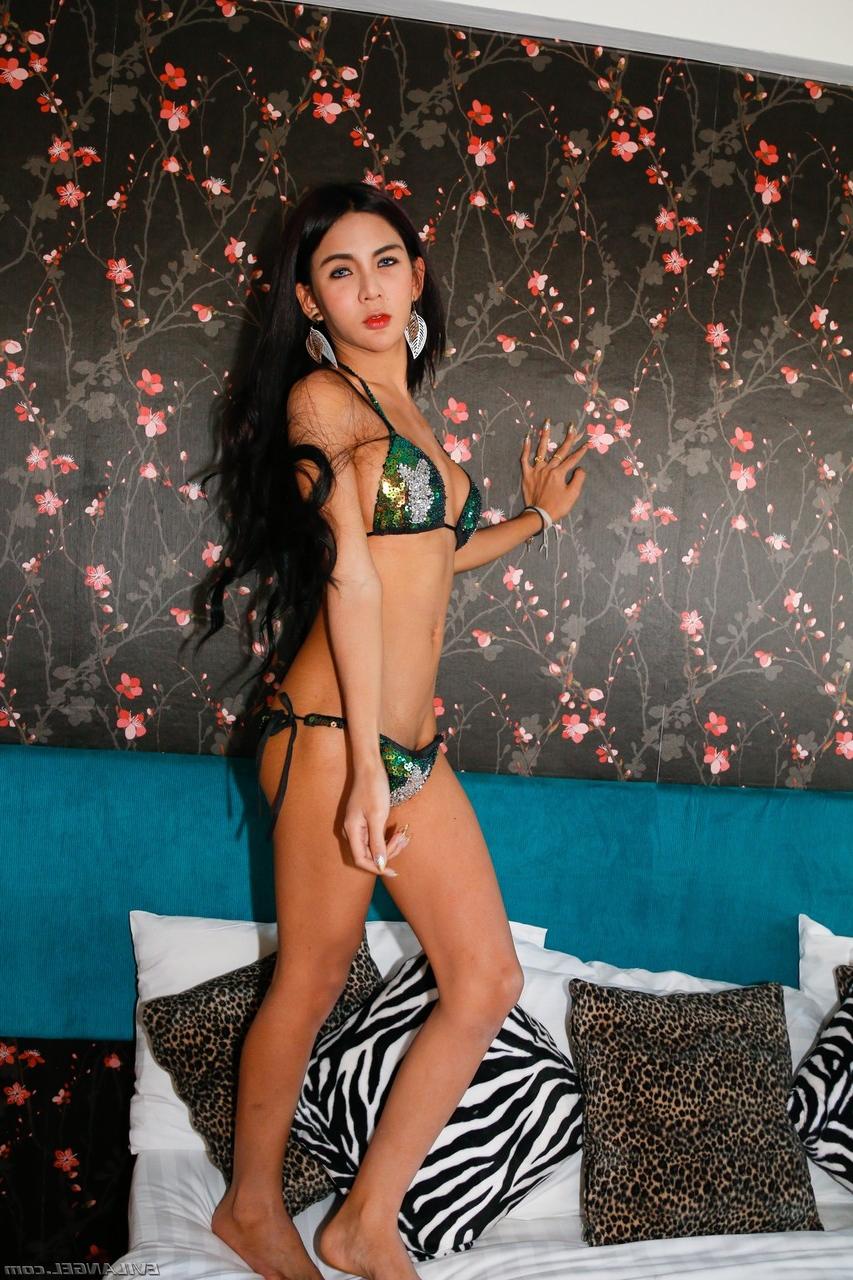 17P Petite tranny model Naey with big tits showing off her fine pecker