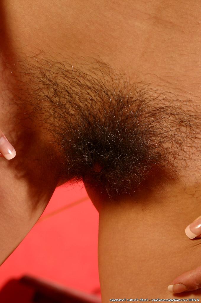16P La latina amateur Katie tiene un hermoso arbusto sobre su bonita vagina