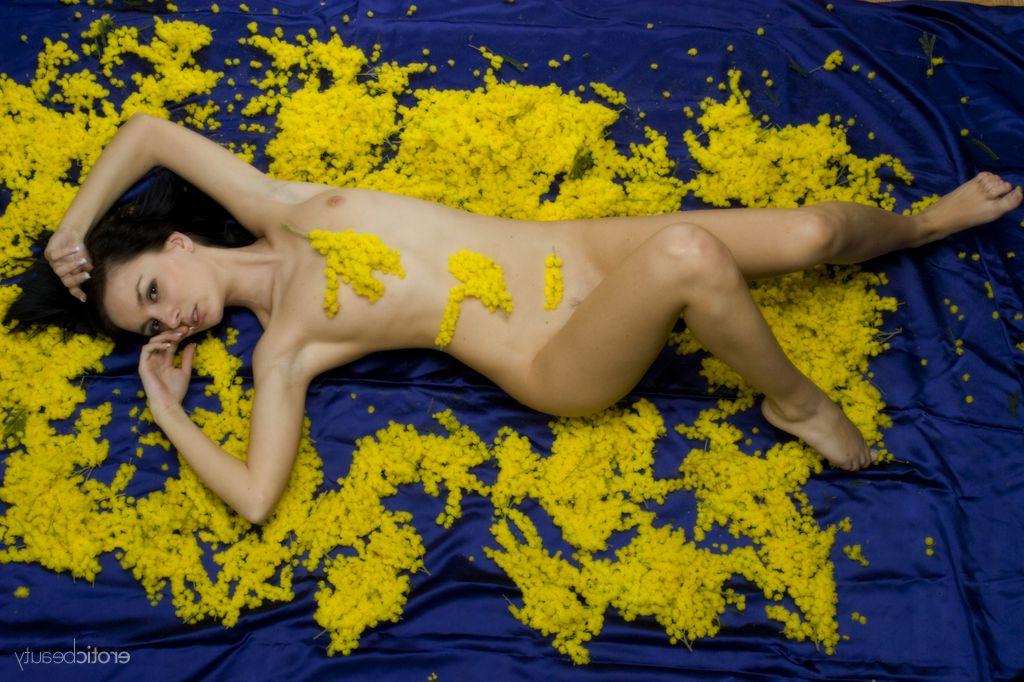 16P La jeune brune Nicollet prend de superbes poses nues lors d'un concert en solo.