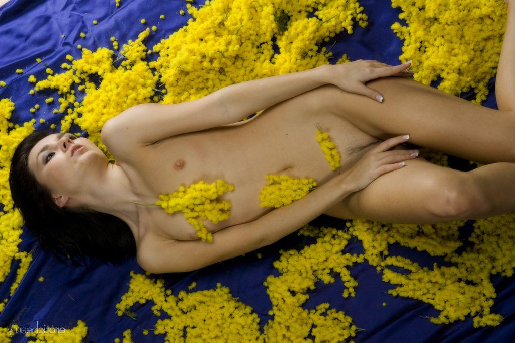 16P La jeune brune Nicollet prend de superbes poses nues lors d'un concert en solo.