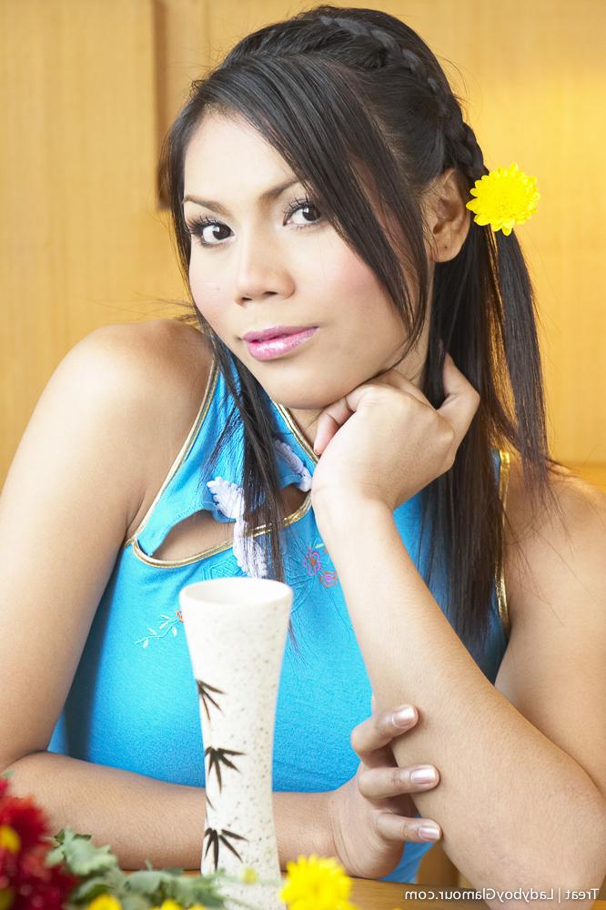 16P Ladyboy Glamour com imagens de sexo de tratamento