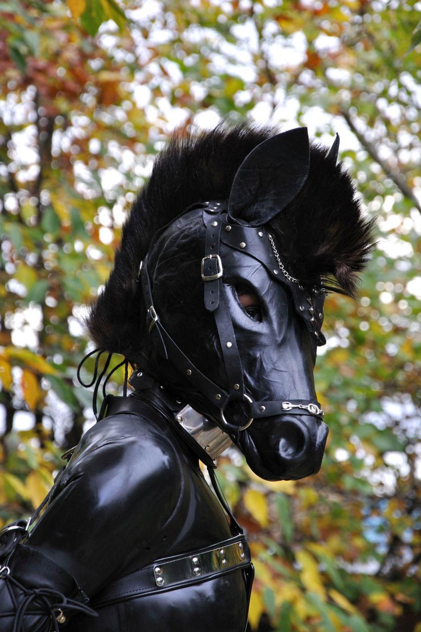 15P Versaute Schlampe posiert draußen in einer Pferdemaske und einem vollflächigen Latex-Outfit