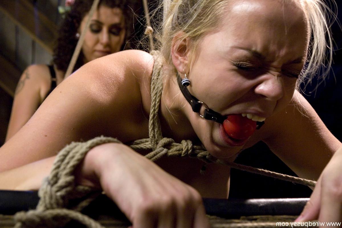 20P Wired Pussy Annette Schwarz