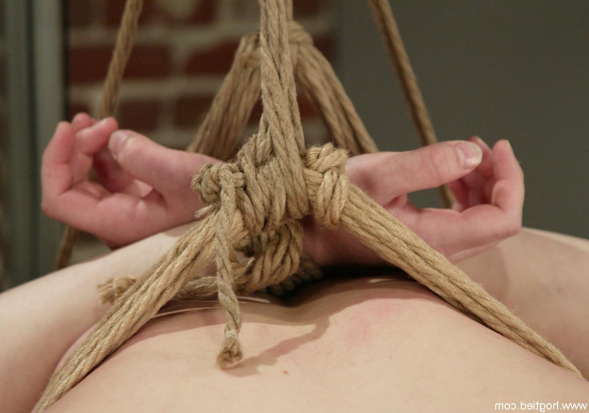 20P Hogtied Danielle, Zorra