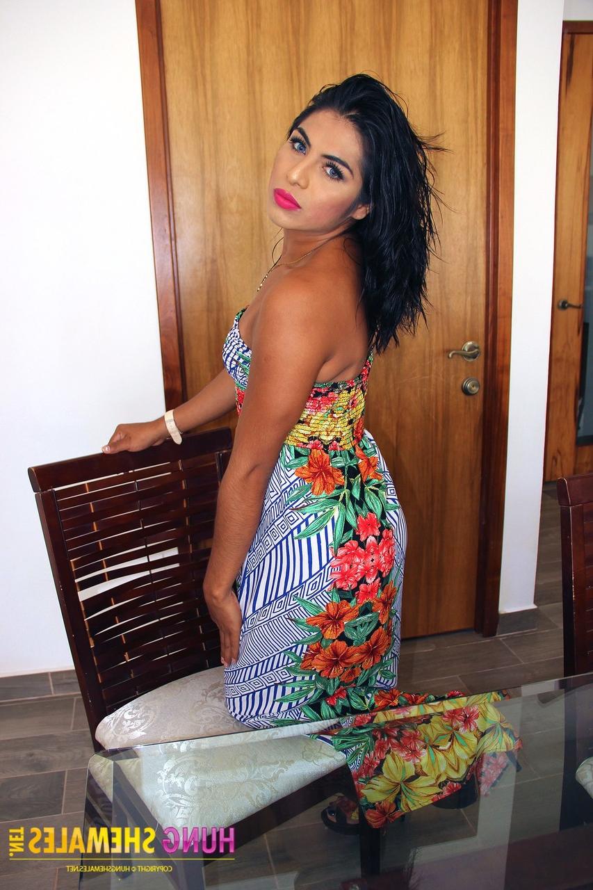 15P Hung Shemales avec Diana Castell Photos porno nues