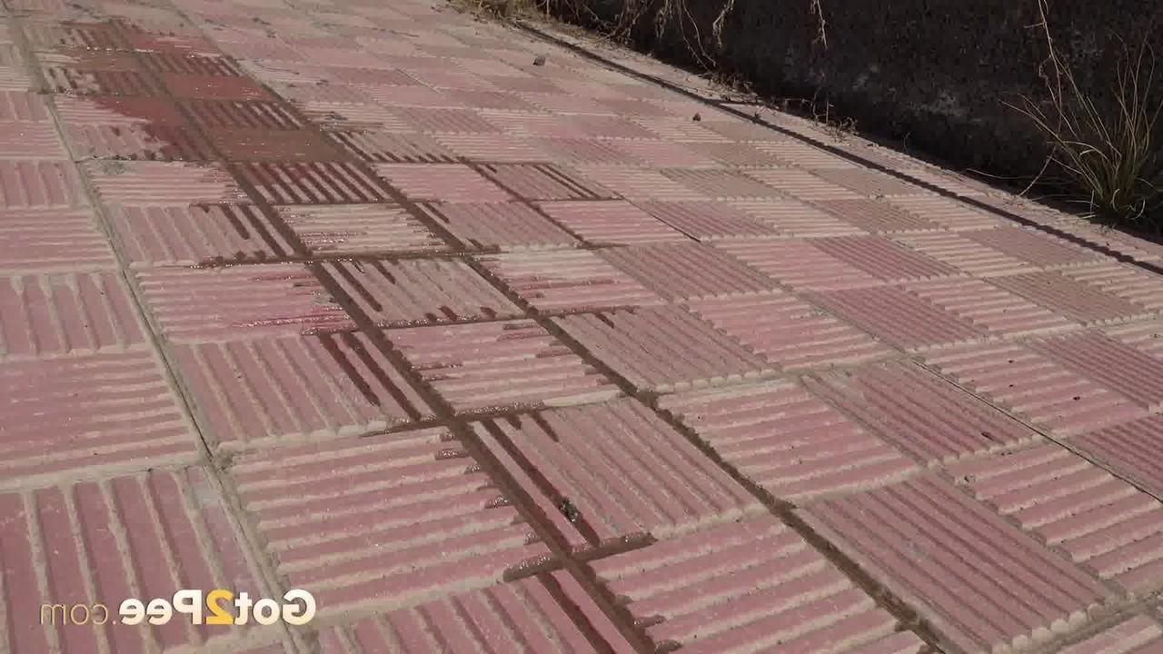 15P La rubia Aylin Tattoo orina en las escaleras públicas durante un día soleado