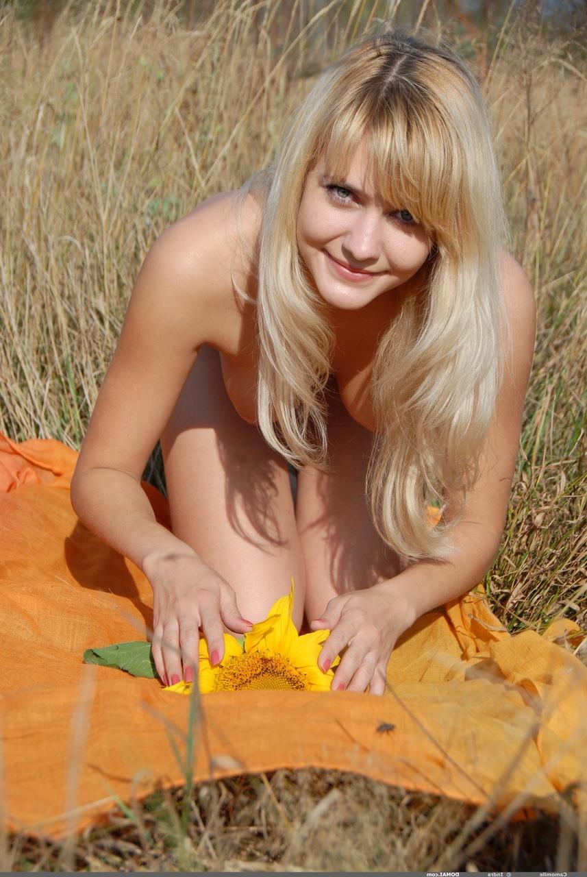 17P Jeune fille blonde à la recherche tient un tournesol tout en posant nue dans un champ de campagne