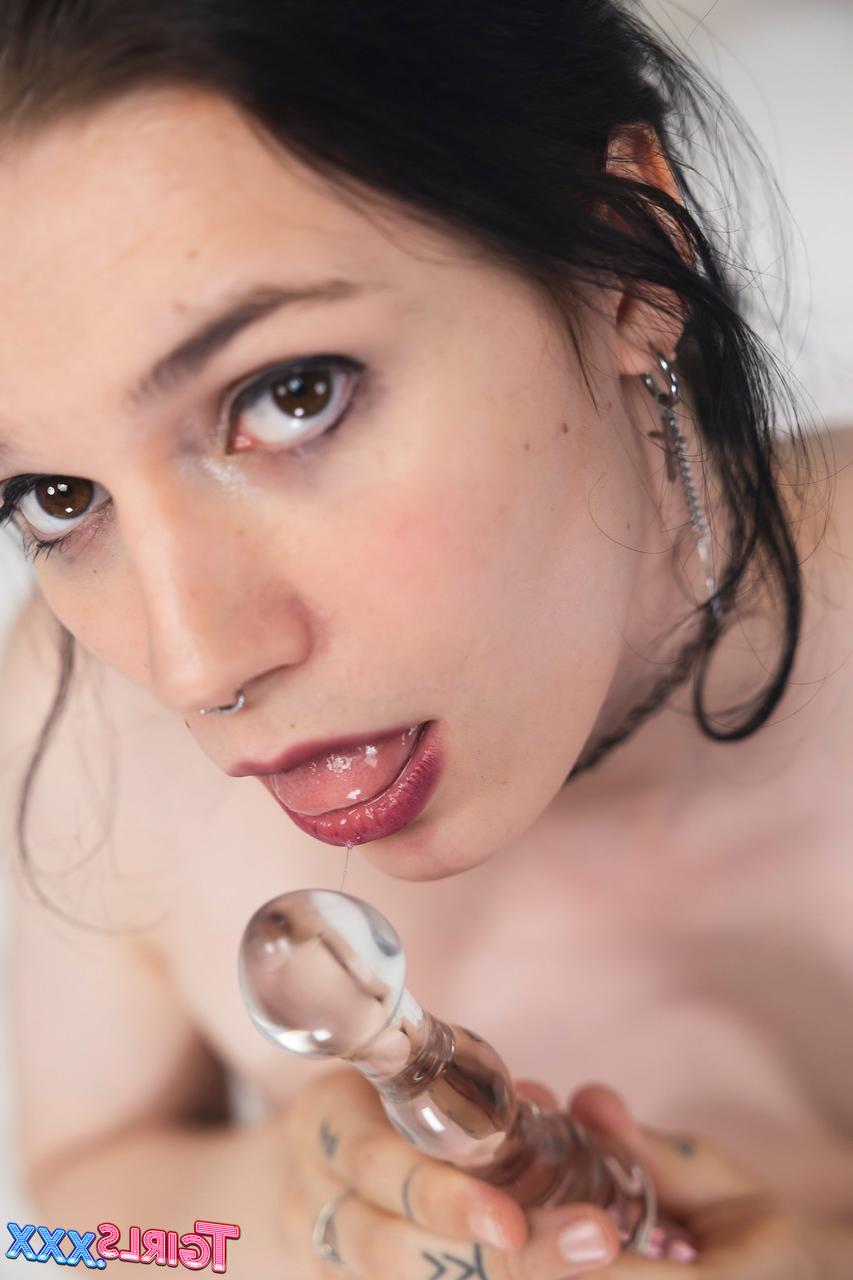 16P TGirls XXX Salgueiro Astilbe