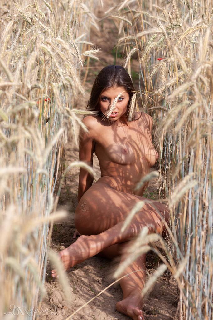 16P Valya, 18 ans, prend de superbes poses nues entre des rangées de blé.