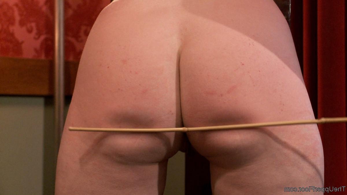 20P 積み重なったブルネットの熟女シレン・ドゥ・メールがワイルドなBDSMセッションで分析される