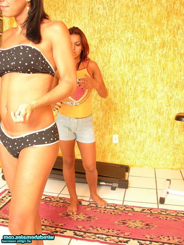 19P Fotos pornôs de travestis com fio