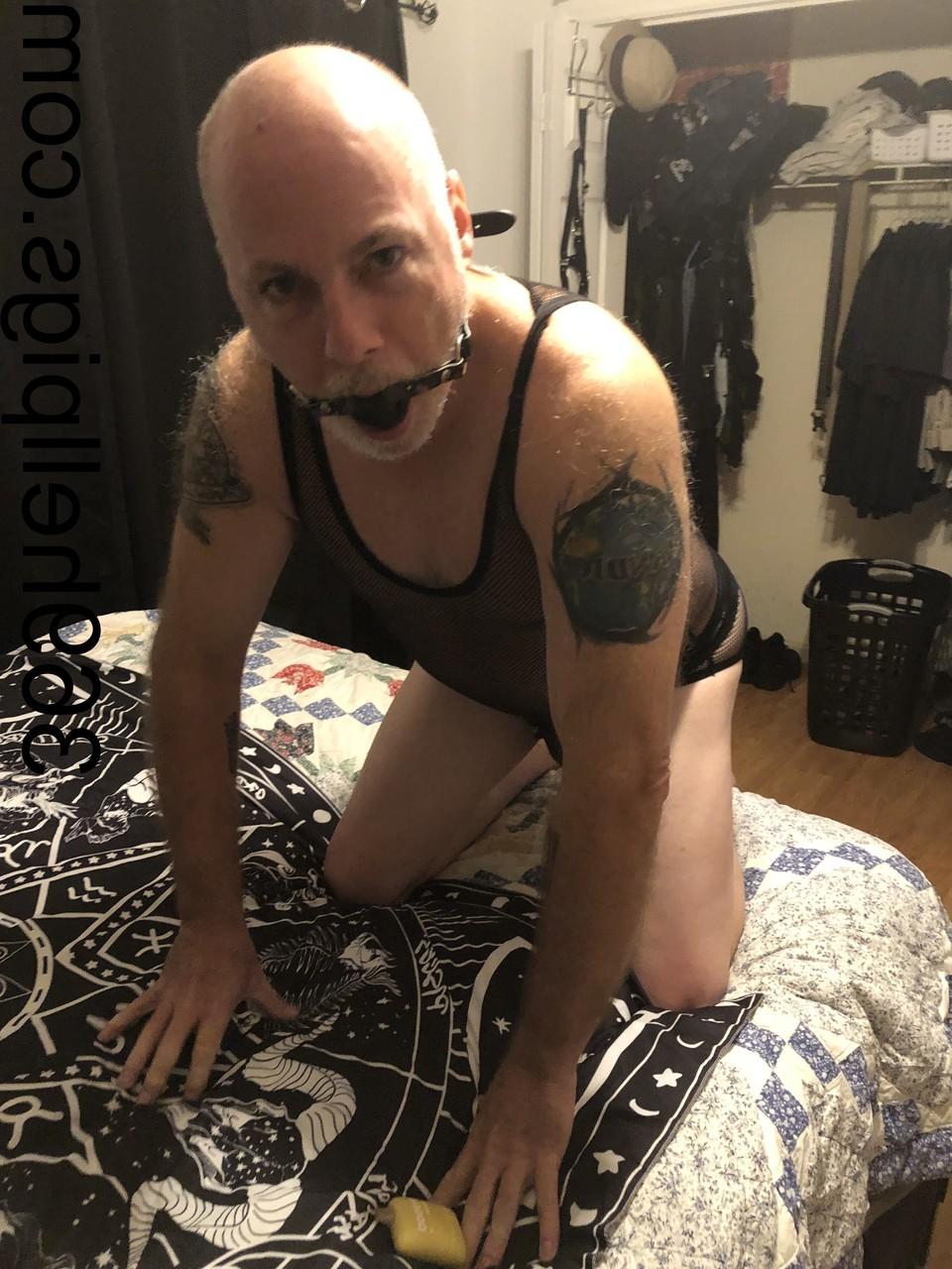 17P 369 cochons de l'enfer