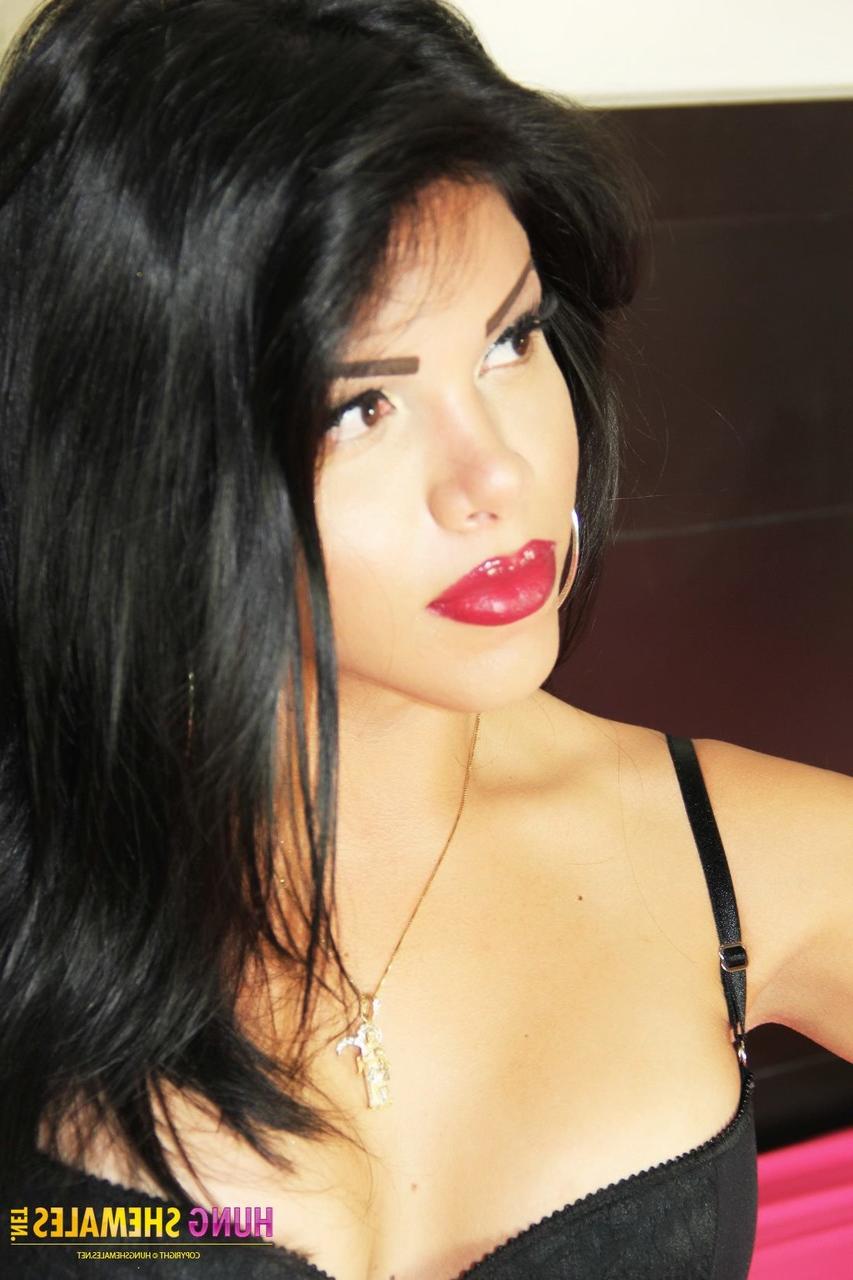 15P Hung Shemales Sexbilder